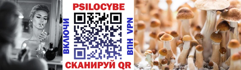 Галлюциногенные грибы Psilocybine cubensis  купить наркоту  Шимановск 